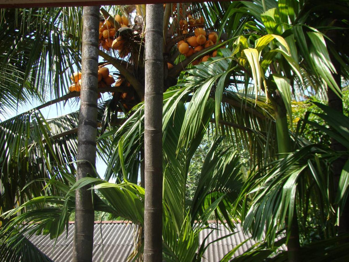 Moragalla Dilu Villa Beruwala Exterior photo
