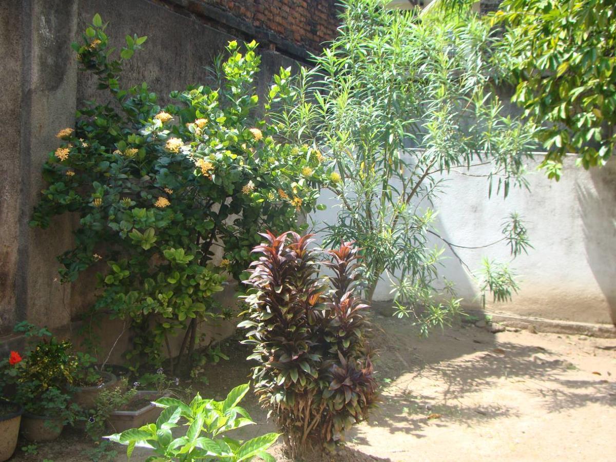 Moragalla Dilu Villa Beruwala Exterior photo